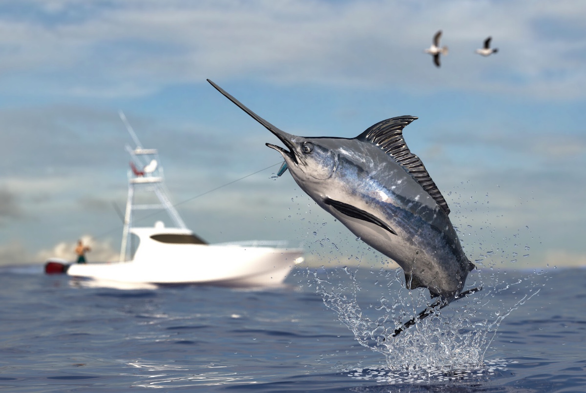 The Best Times to Catch Fish: A Guide to Seasonal Fishing hero image