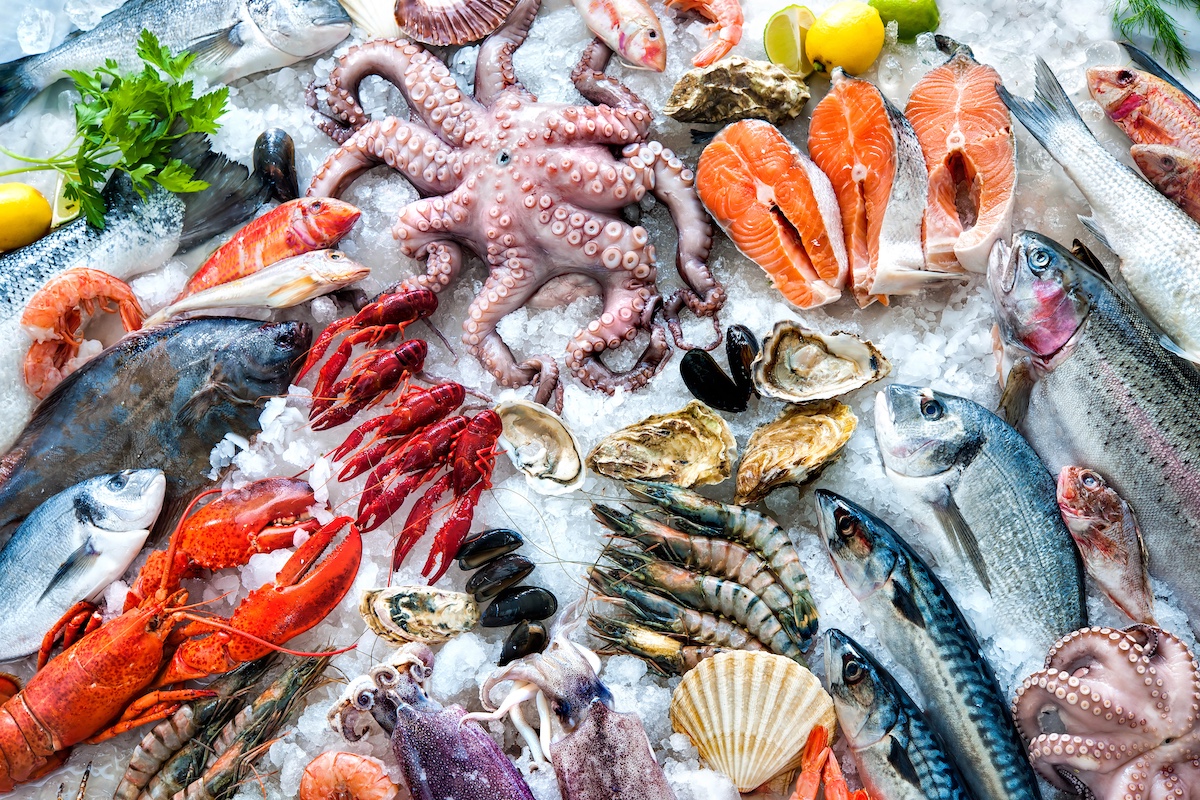 The Journey of Fresh Fish: From Catching to Your Local Shop hero image