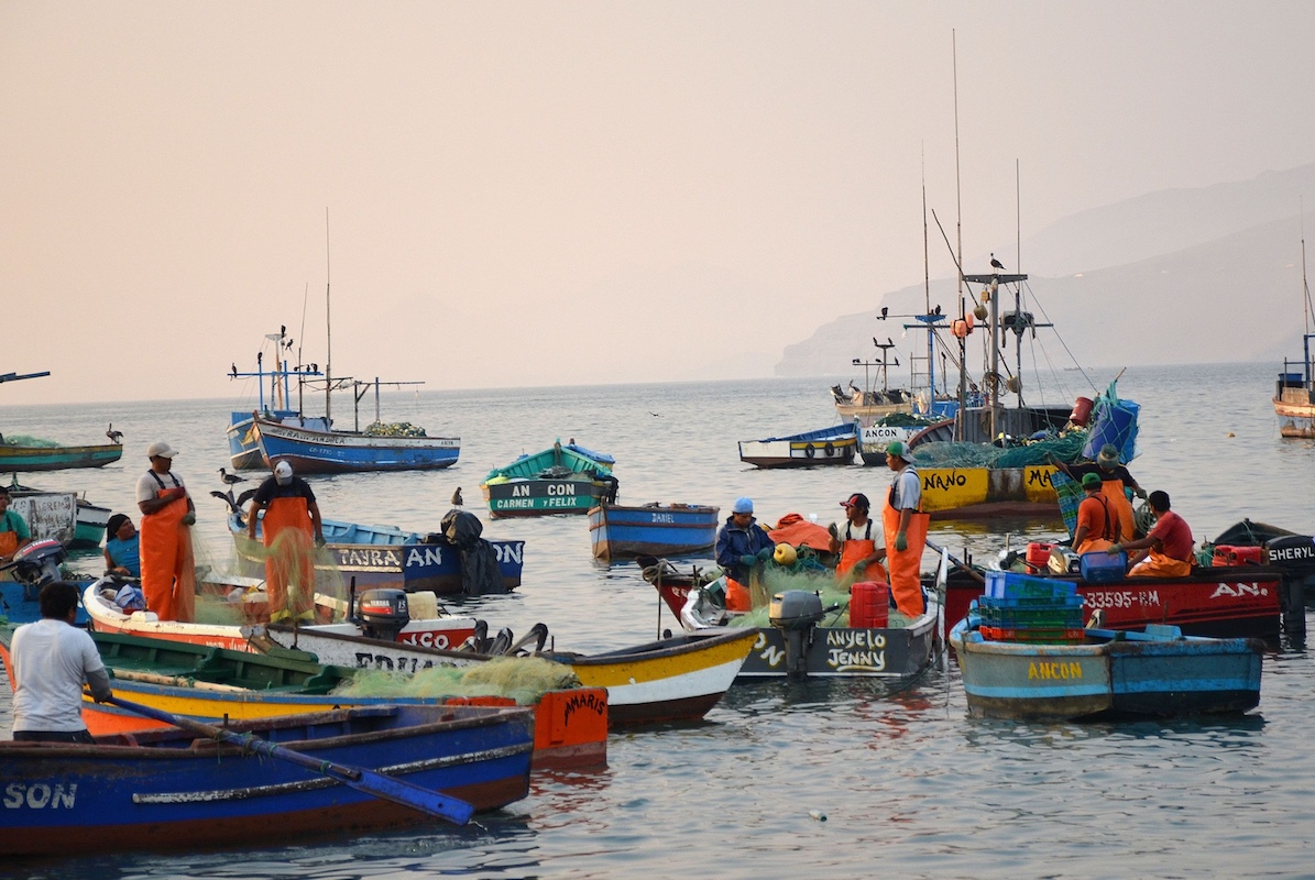 Supporting Local Fisheries: Why Small Businesses Matter in the Seafood Industry hero image