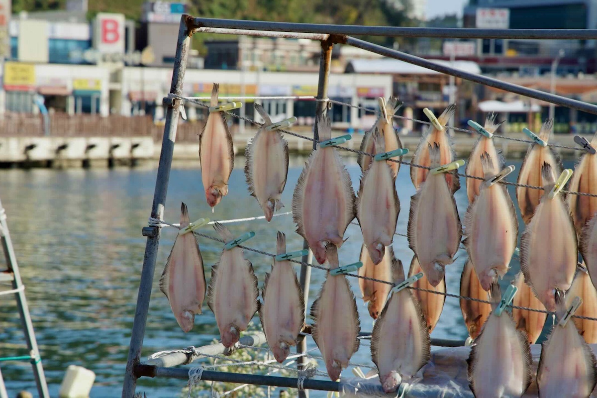 Tips for Small Waterfront Shops: How to Sell Fresh Fish Like a Pro hero image
