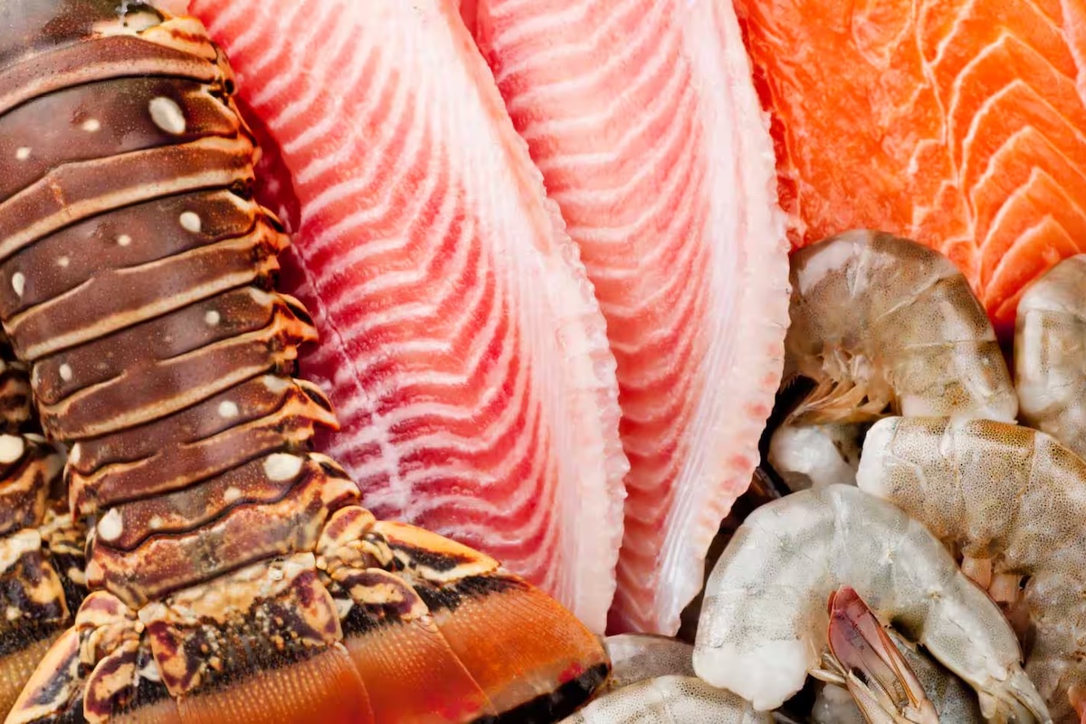 From Sea to Shore: Why Fresh Seafood Makes All the Difference hero image