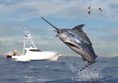 The Best Times to Catch Fish: A Guide to Seasonal Fishing image sidebar