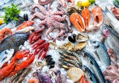 The Journey of Fresh Fish: From Catching to Your Local Shop image sidebar