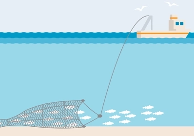 Sustainable Fishing Practices service image