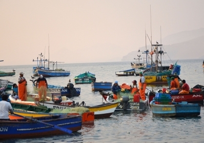 Supporting Local Fisheries: Why Small Businesses Matter in the Seafood Industry image sidebar