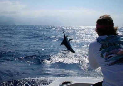 How Sustainable Fishing Practices Benefit Our Oceans and Local Communities image sidebar