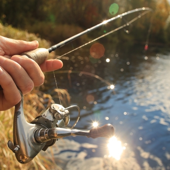 Welcome to the world of fishing